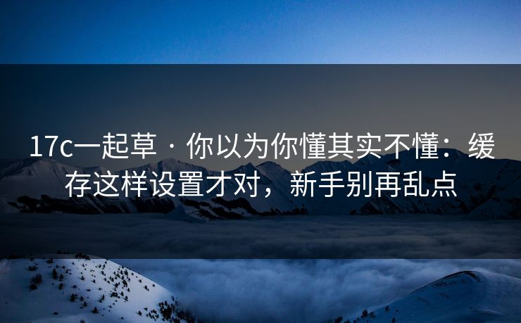 17c一起草 · 你以为你懂其实不懂：缓存这样设置才对，新手别再乱点